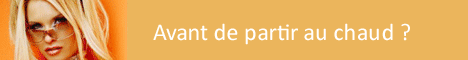 Chez Siliteo l'été sera chaud sur les accessoires DS et les copies de sauvegardes XBox, Playstation.